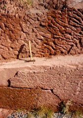 1980_CEH3684_A067