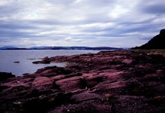 1980_CEH3686_A069