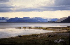 1984_0008479_R115