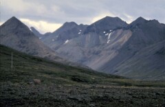 1984_0008481_R117