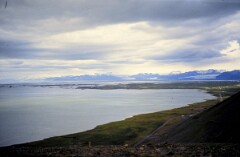 1984_0008482_R118