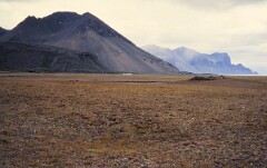 1984_0008488_R124
