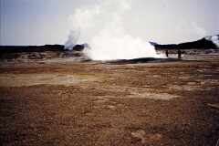 1992_0008377_R014