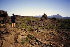 1992_0008406_R043