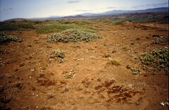 1992_0008446_R082