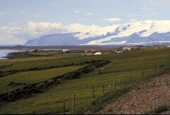 1992_0008489_R125