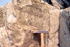1980_CEH4699_B366