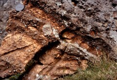 1980_CEH4702_B369