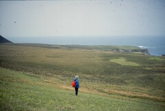 1980_CEH4706_B373