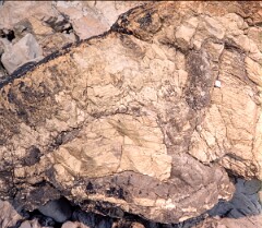 1980_CEH4710_B377