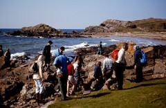 1980_CEH4711_B378