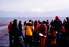 1997_CEH4309_A972