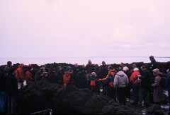 1997_CEH4310_A973