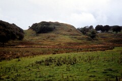 1983_CEH4745_B411
