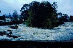1976_CEH5313_D010