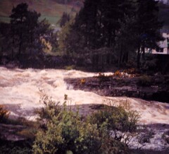1976_CEH5314_D011