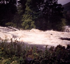 1976_CEH5315_D012