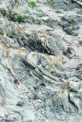 G10_0709a