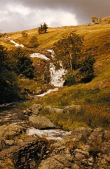 1981_0008006_Q045