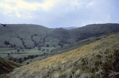 1981_0008010_Q049
