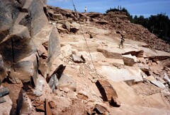 1984_CEH6784_H053