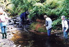 G08_0501