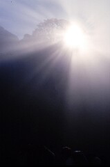 1989_CEH4008_A657