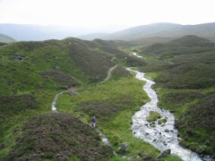 Moffat Aug 04 0008