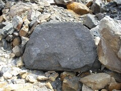 DSCF0440