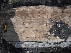 DSCF0444