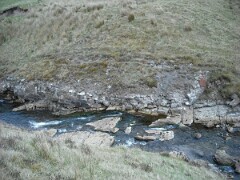 DSCF0448