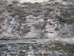DSCF0452