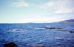 1979_CEH4607_B274
