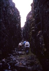 1979_CEH4619_B286