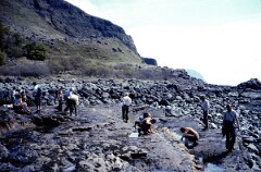 1979_CEH4637_B304