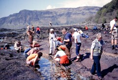 1979_CEH4638_B305