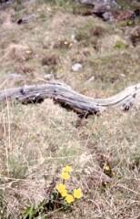 1979_CEH4641_B308