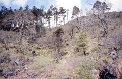 1979_CEH4642_B309