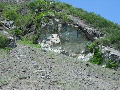 DSCF0021