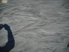 DSCF0030