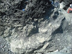 DSCF0033