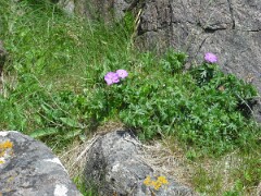 DSCF0045