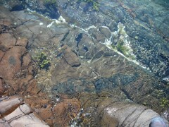 DSCF0047