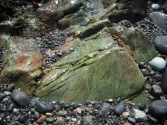 DSCF0051