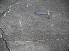 DSCF0066