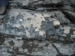 DSCF0072