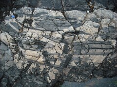DSCF0076