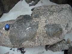 DSCF0081