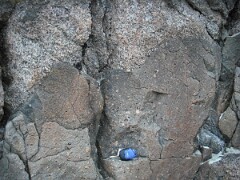 DSCF0082