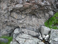 DSCF0093